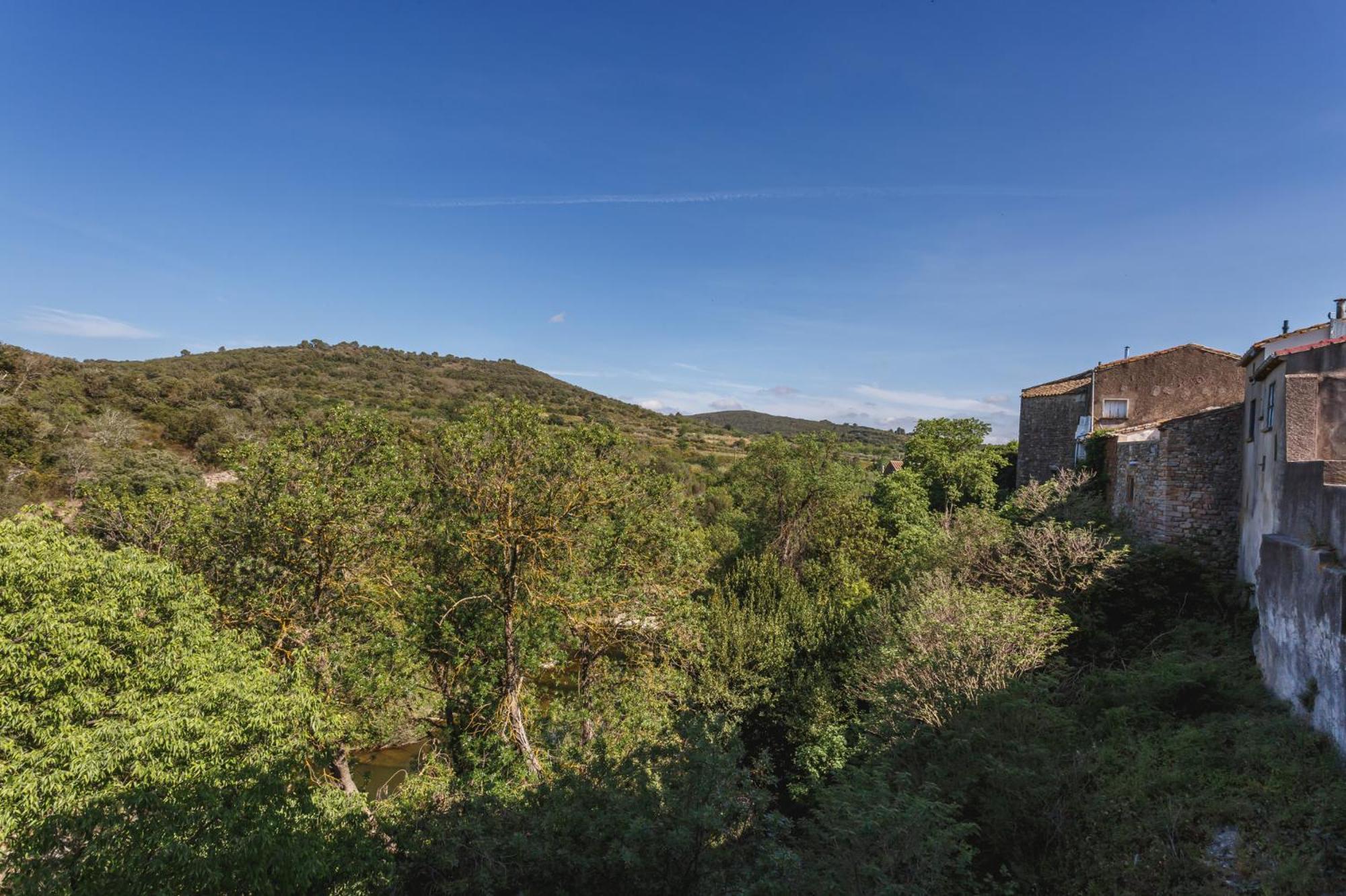 Cosy Apartment In Ancient Gabian With River And Vineyard Views エクステリア 写真